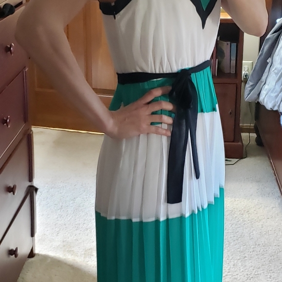 Banana Republic x Milly Maxi Pleated Dress - Picture 5 of 10